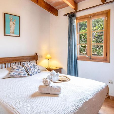 Villa Rosa Pollensa Zewnętrze zdjęcie